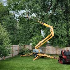 Orwell, OH Tree Services Company